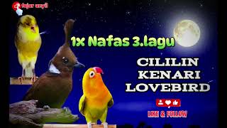 Download lagu 1x NAFAS 3.LAGU📍 Cililin - Kenari - Lovebird mp3 Download lagu 1x NAFAS 3.LAGU📍 Cililin - Kenari - Lovebird mp3