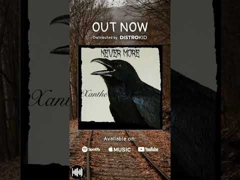 #nevermore #holloween #distrokidartist #edgarallanpoe #ViralSong ￼ #chicago #guitar #acousticguitar