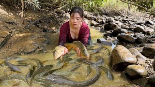 Wild Fishing Techniques | Fishing with Girl, Harvest Big Fish, Fishing For Sale | Wild Rural Life