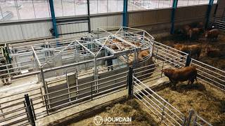 JOURDAIN Telescopic barrier 5 BARS