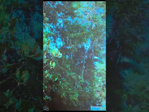 Que o dia de hoje seja poderosamente rico