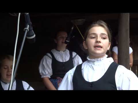 49. SLEZSKÉ DNY 2018, č.9 - DFS OSTRAVIČKA (opět předvedla dobrý výkon)