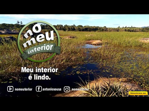 A Beleza de meu interior que muitos não conseguem ver - 06/07/2023 #quintafeiranomeuinterior