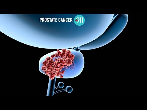 Ein Hund nach der Entfernung der Prostatadrüse Vakuum in der Behandlung von Prostatitis