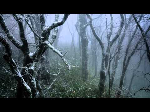 Sviatoslav Richter - Schumann - Waldszenen (Forest Scenes), Op 82