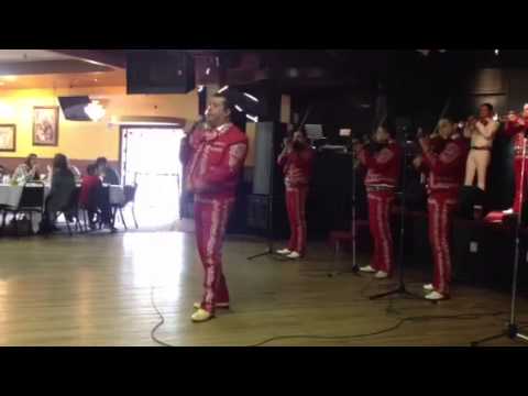Promotional video thumbnail 2 for Mariachi Mexicanisimo