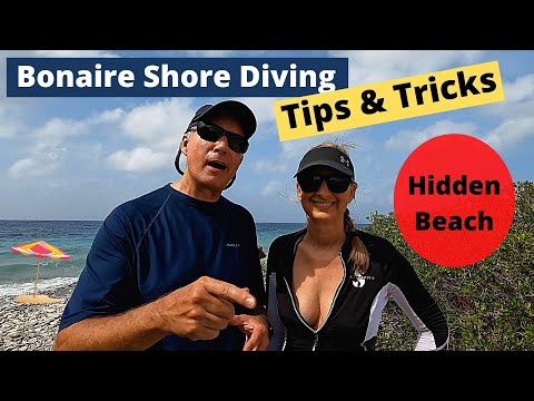 Bonaire Shore Diving Tips & Tricks - Hidden Beach!