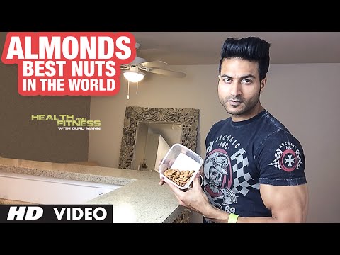 download lagu mp3 mp4 Protein In Almonds Per 100g, download lagu Protein In Almonds Per 100g gratis, unduh video klip Protein In Almonds Per 100g
