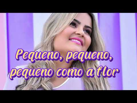 Seir Di Castro/ Pequeno como a flor/ música com letra