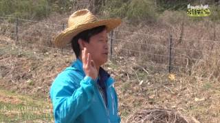 알이 꽉 찬 감자 심기 / 기름진 밭 일구기