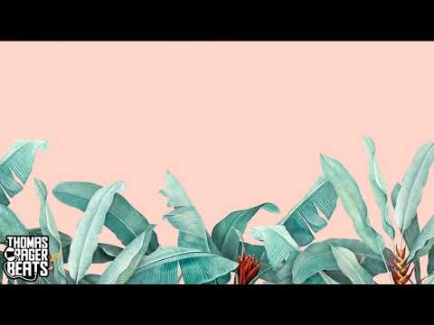 Tory Lanez X Ty Dolla Sign Type Beat “I Swear” | Tropical Pop Instrumental