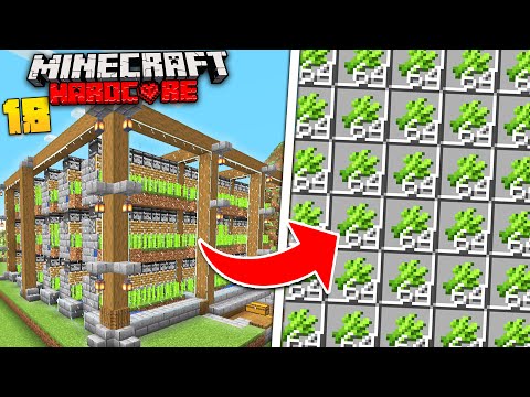 I Built An INSANE Automatic Sugar Cane Farm In Minecraft Hardcore!