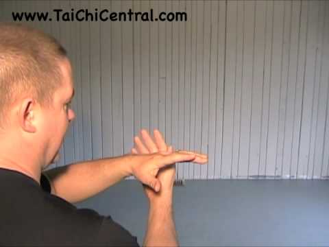 24 Form Tai Chi - Lesson 5 - White Crane Spreads its Wings