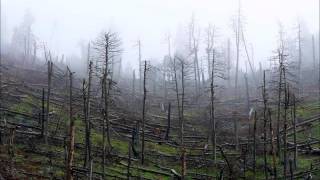 Cyuild Apo - Something Went Wrong