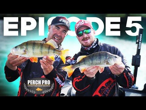 PERCH PRO 6 - Episode 5 (Deutsche Untertitel)