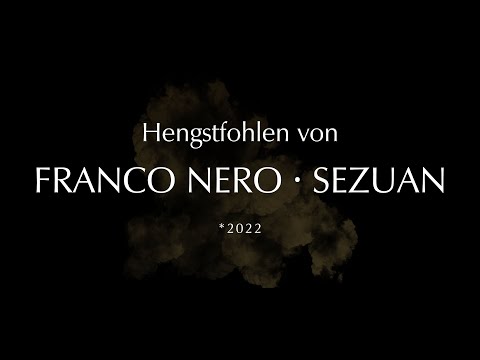 Hengstfohlen von Franco Nero - Sezuan | *2022
