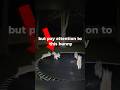 Bunnies jumping on trampoline