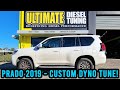 LandCruiser Prado In For A Whole Lot More GRUNT