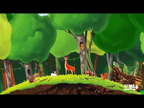 Yaşam Çeşit Çeşit