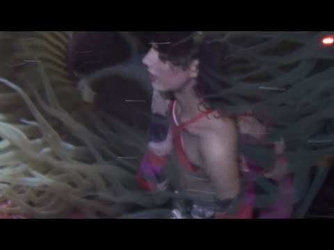 Black Dresses - IM EARTH (Official Video)