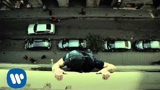 Miguel Campello - Calavera