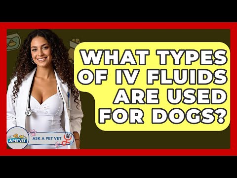 What Types Of IV Fluids Are Used For Dogs? - Ask A Pet Vet