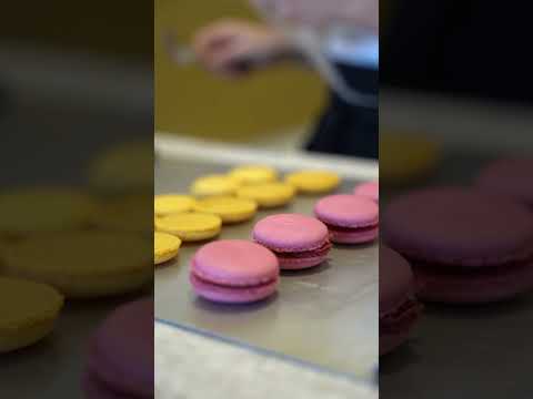 Áprilisi lapajánló: A kis cukrászműhely, ahol nagy álmok születnek