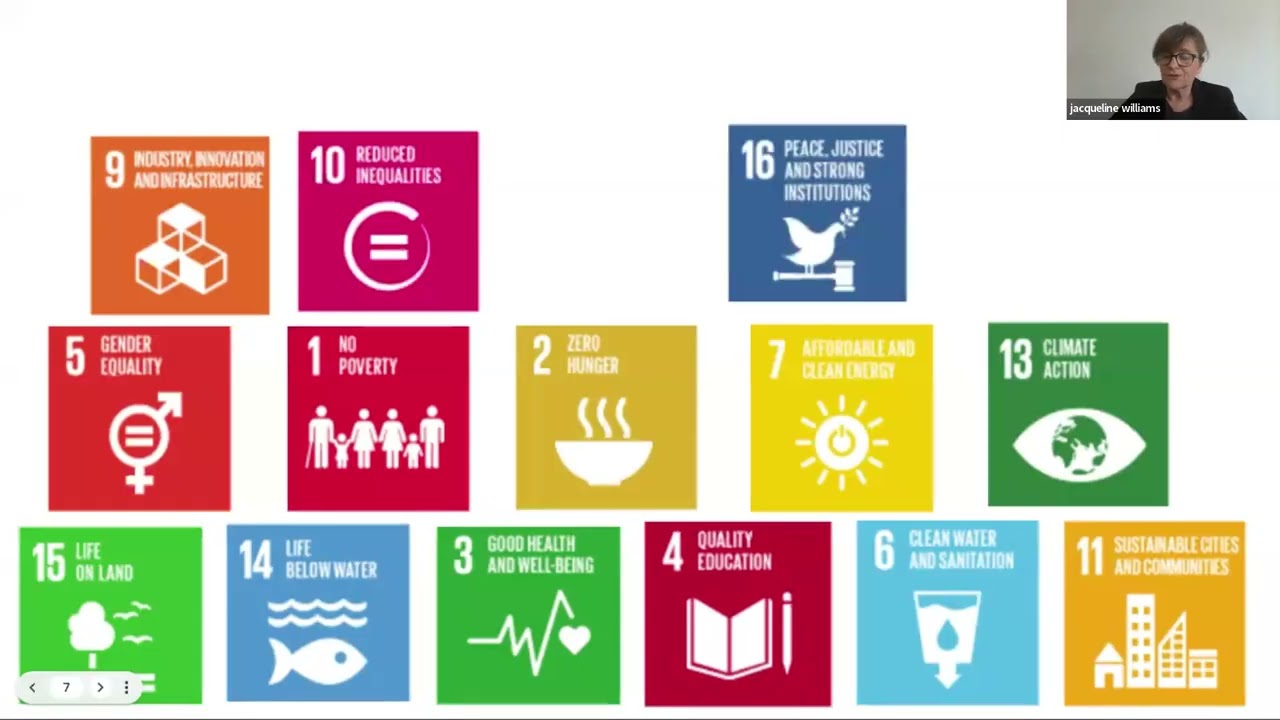 Developing Lesson Plans and Teaching Strategies for the SDGs