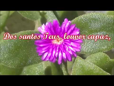 Hinos e Cânticos - 520 - Nosso cordial louvor