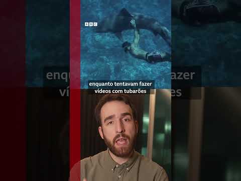 Biólogos marinhos alertam para influenciadores que se aproximam cada vez mais de tubarões
