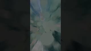 Download lagu story wa kubayangkan bila engkau datang mp3