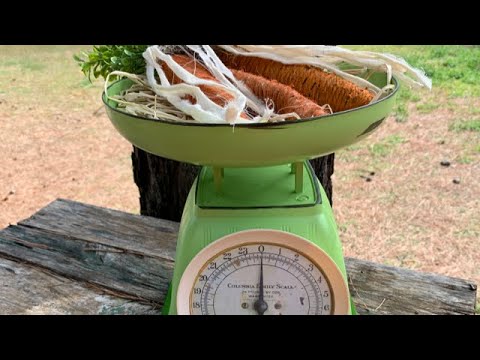 DIY Vintage Kitchen Scale | Dollar Tree Kitchen Scale | Faux Kitchen Scale | DIY Vintage Scale