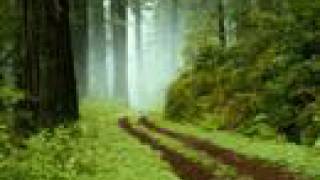 Seven Places - Be my salvation