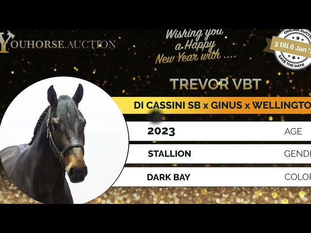 Trevor VBT