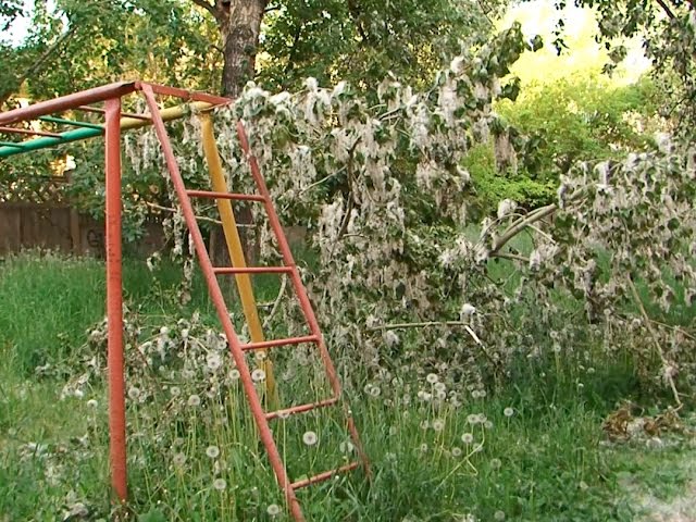 И никому дела нет!