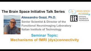 Mechanisms of fMRI (dys)connectivity
