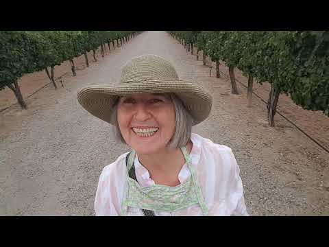 8/3 Meeting Opening Casa Rondena