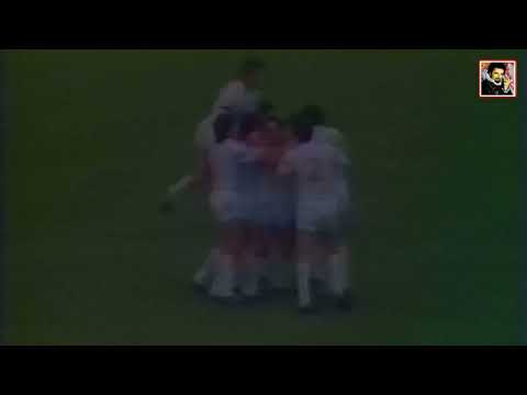 Vardar - Crvena Zvezda 1:2 (1986.)