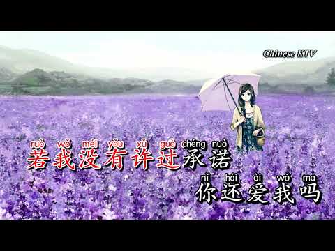 Karaoke Dũng Khí | 勇气 - Miên Tử 棉子 (beat chuẩn)