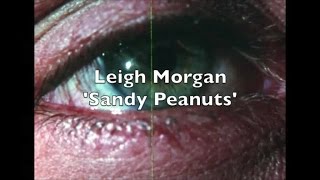 Leigh Morgan - Sandy Peanuts (Original Mix)