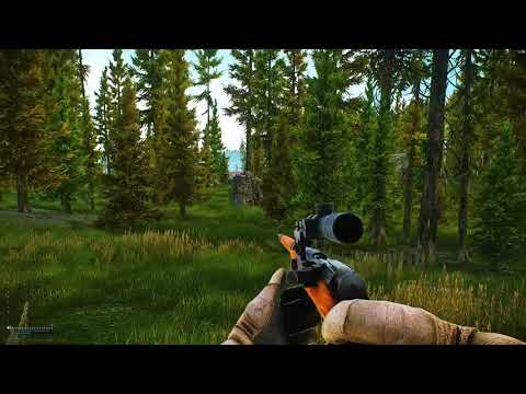 Escape From Tarkov Woods