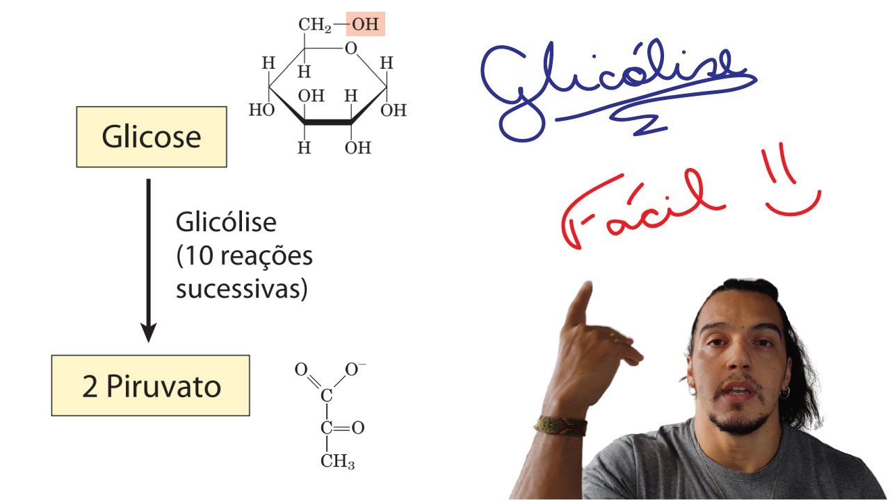 Glicólise: Entenda as 10 reações