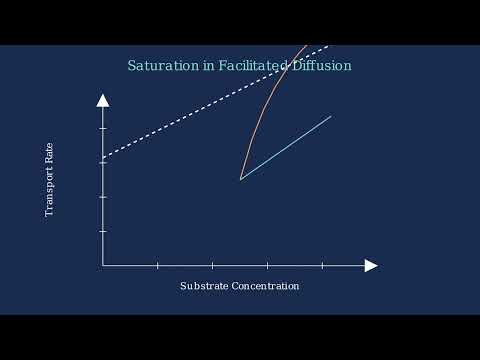 Facilitated Diffusion – Definition, Principle, Examples - Video