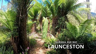 Pub in the Paddock | Ben Lomond National Park | Jacobs Ladder | Tamar River Cruise | Cataract Gorge