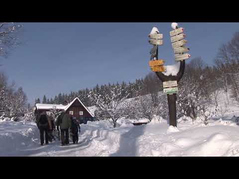 Náhled pro video reference