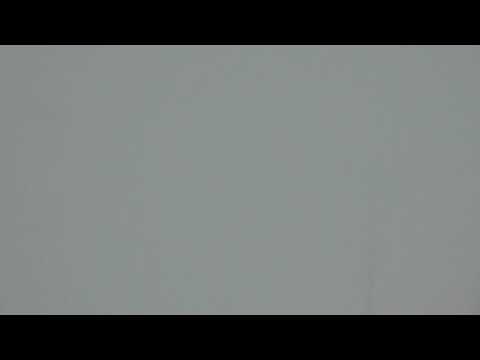 Sněžník 2012 - Latisha & Faraza (training in fog)