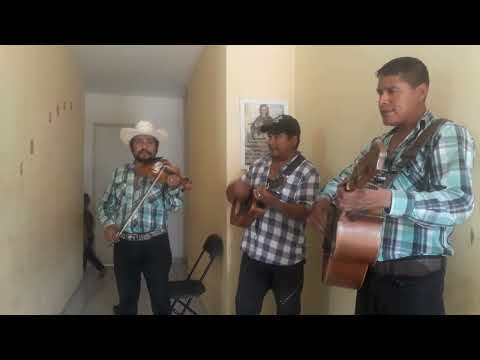 Producciones Olvera Presenta al trio Corcel queretano del Sr Macario Sanchez Ortiz.Es la mujer.