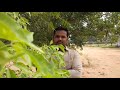 Dinnam Dinnam Nan Sagiren Song