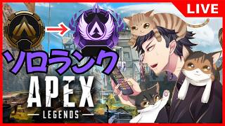 【APEX】久しぶりのソロランク【生放送】