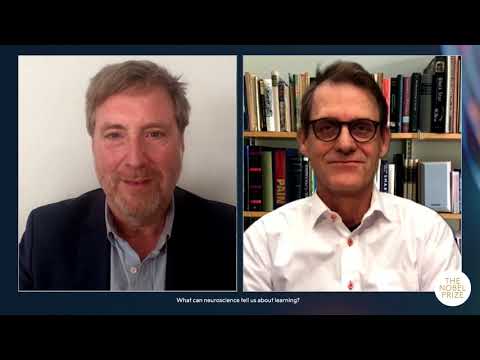 What can neuroscience tell us about learning?